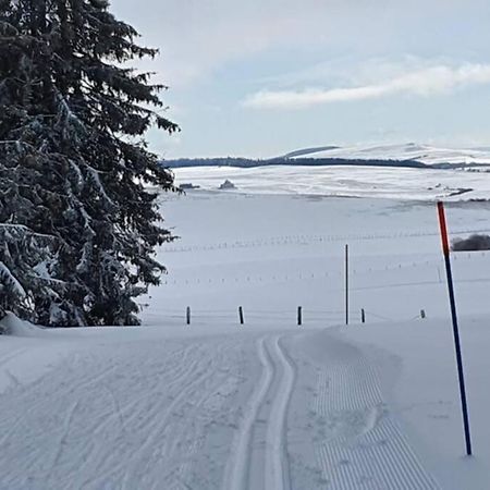Appartement 6 Personnes Au Coeur De Super Besse Besse-et-Saint-Anastaise Exterior foto